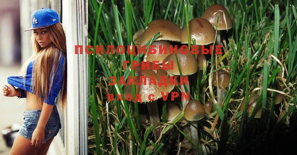 альфа пвп Нея