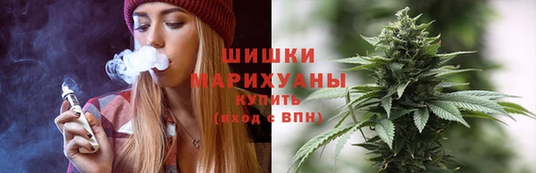 молекула духа Надым