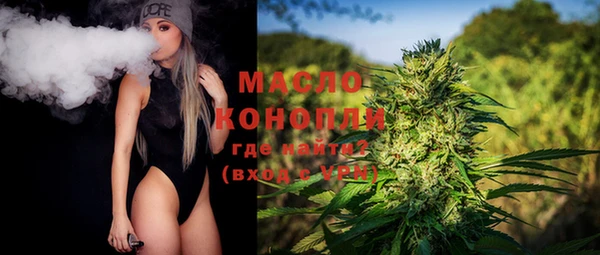 молекула духа Надым