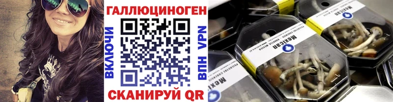 Галлюциногенные грибы мухоморы Купить закладки Кольчугино