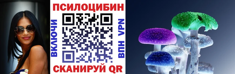 Псилоцибиновые грибы мицелий Кольчугино